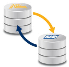 Интеграция SAP HR (HCM) с 1С:ЗУП 3